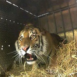 二着二着就红了