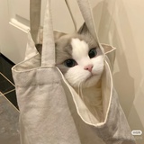 不林