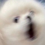 懒癌患者