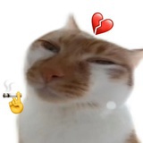 mㅇmㅇ