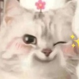 hhhhe
