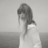 聪酱家的小甜饼