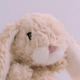 miumiu
