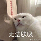 废物点心