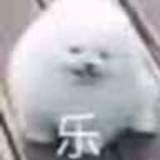 乐子人