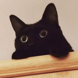 eemoo