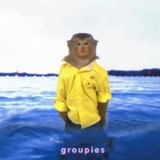 Sea gut