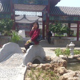 郁树林风