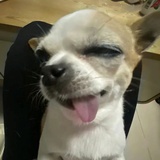 苏巴拉西