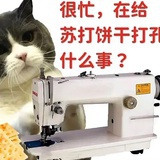 煎饼挞子
