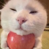 给爷爬