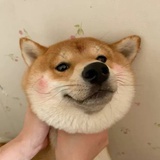 小李肥陈