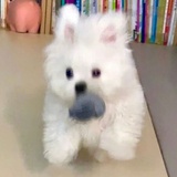 偷偷藏不住钱