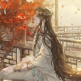 浮生若梦