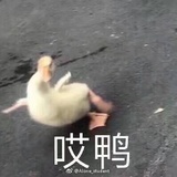 好圆真圆