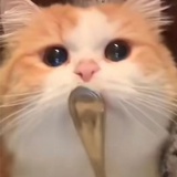 轻轻地告诉你