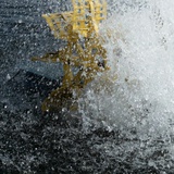 青鸟不到的地方