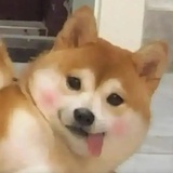 古古