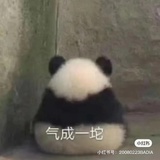 我不梨姐