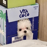 快要跑路了
