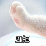 青鸟