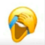 天上的花儿
