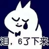 香菜猪猪侠