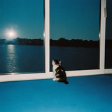 jan_lotte