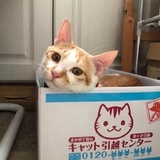 让你自由