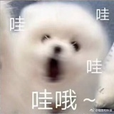 蛋仔