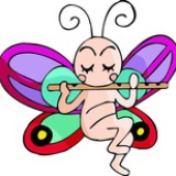 蝴蝶Butterfly