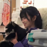 封闭货车