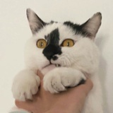 今天大风预警