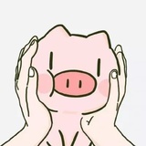 ୧⍤⃝🐷