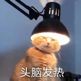 TUTUU
