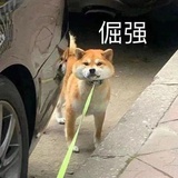 不用昵称