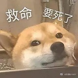 皮克泥