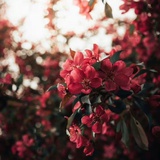 睿智勇气和善良