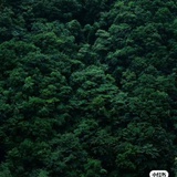 过于湛蓝的池水