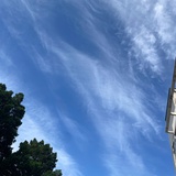 夏天的风