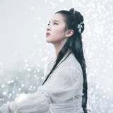 西瓜虫
