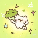 西兰花知什