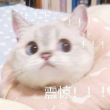 何事惊慌