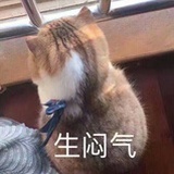 哇