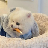 我能吃七桶泡面
