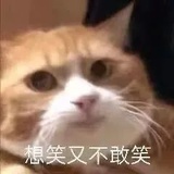 ID是啥不重要