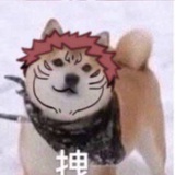 你管得着吗