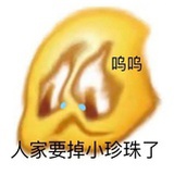 不识驴⛰️真面目