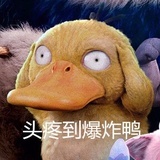 是个狼灭