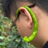 昵萌很萌